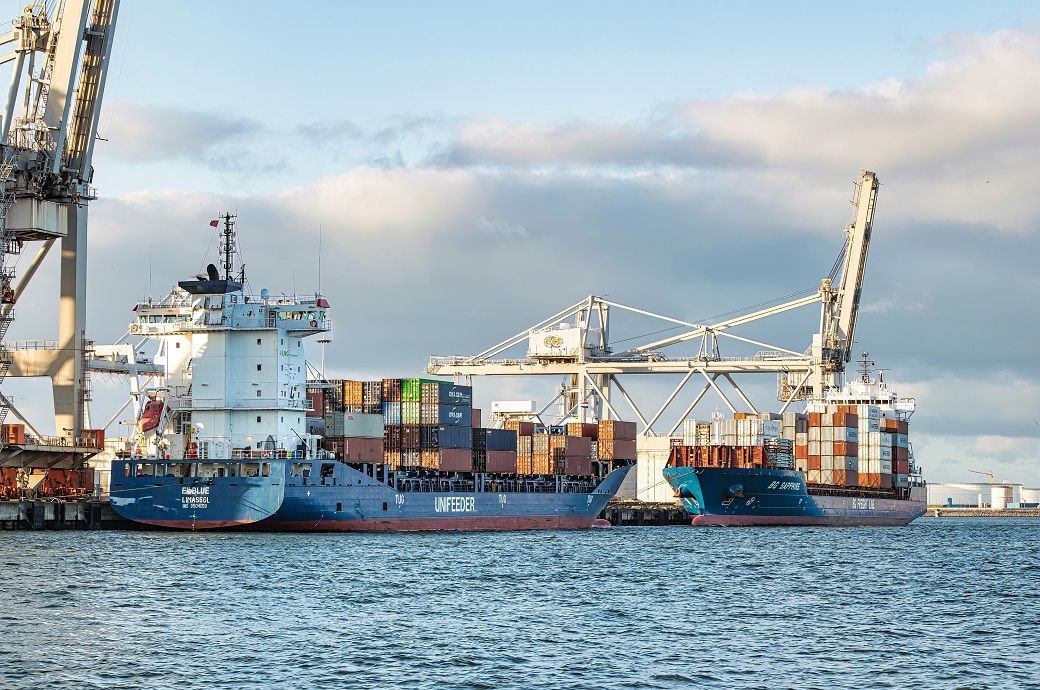 Dutch export volumes decline in May 2024 amid unfavourable conditions