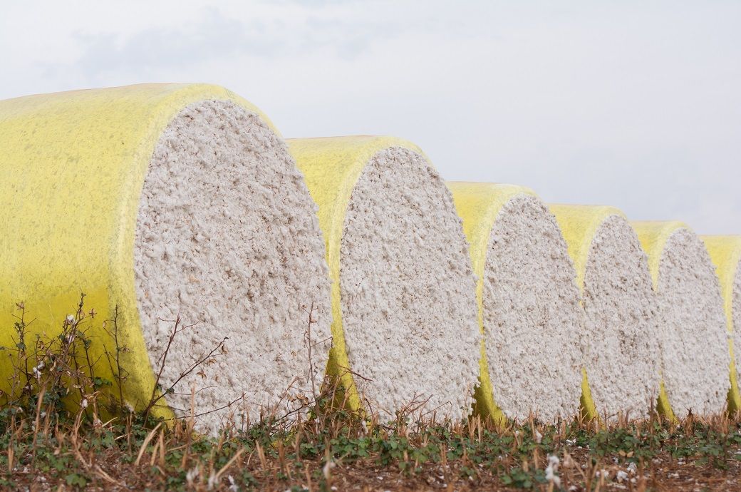 ICE cotton prices dip amid slow demand & weaker crude oil