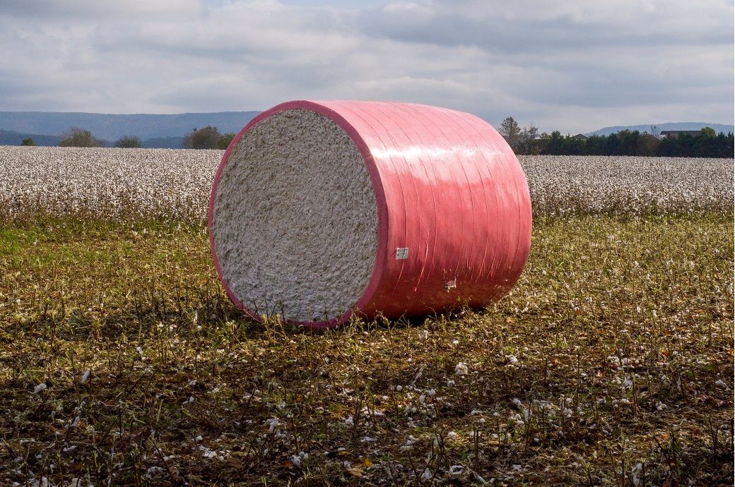 Crude oil surge & lower cotton output propel ICE cotton prices