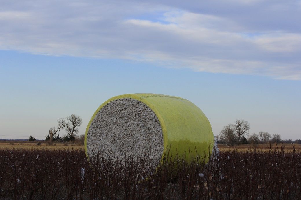 US Upland cotton sales at 207K bales, Pima totals 10,100 bales: USDA ...