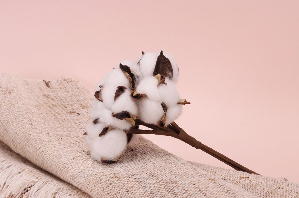 ICE cotton drops following US export sales report and dollar surge