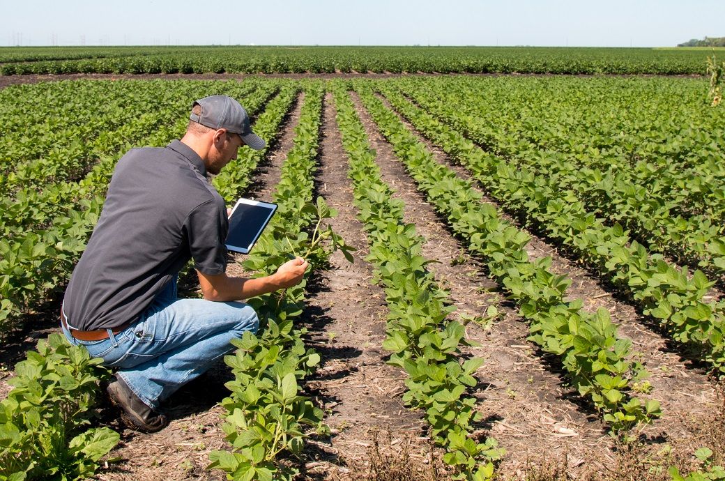  Switzerland's Syngenta launches Cropwise AI to revolutionise farming