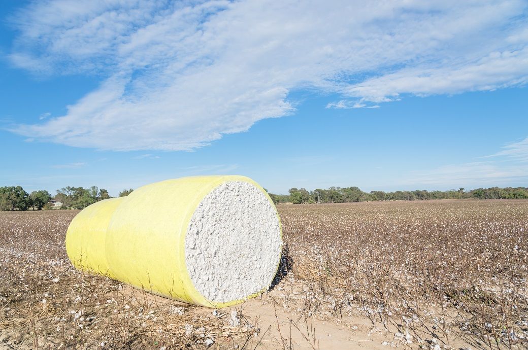 US Upland cotton sales up 9%, Pima declines 13% this week: USDA