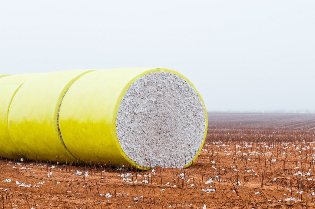 US Upland cotton sales down 18%, Pima eases 23% this week: USDA ...