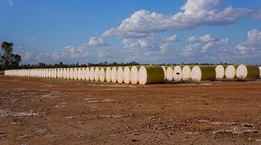 Brazil’s cotton exports jump 138% to $3,492 mn in Jan-Sept ’24