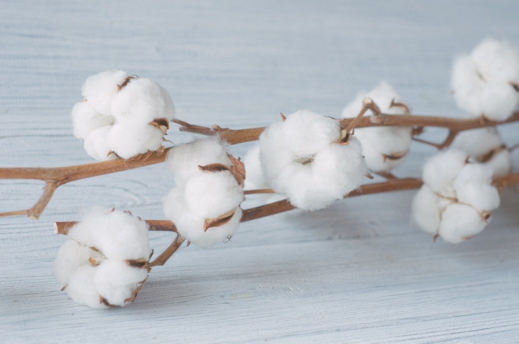 ICE cotton further down for third session in a row, crude oil eases