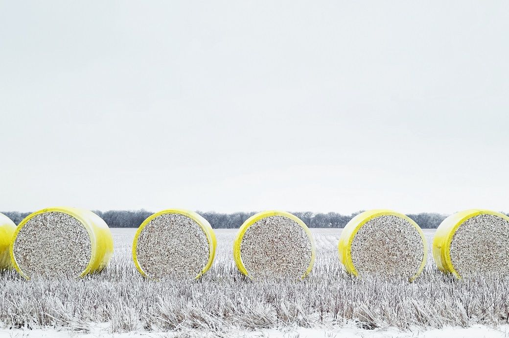 US Upland cotton sales down 8%, Pima up 32% this week: USDA