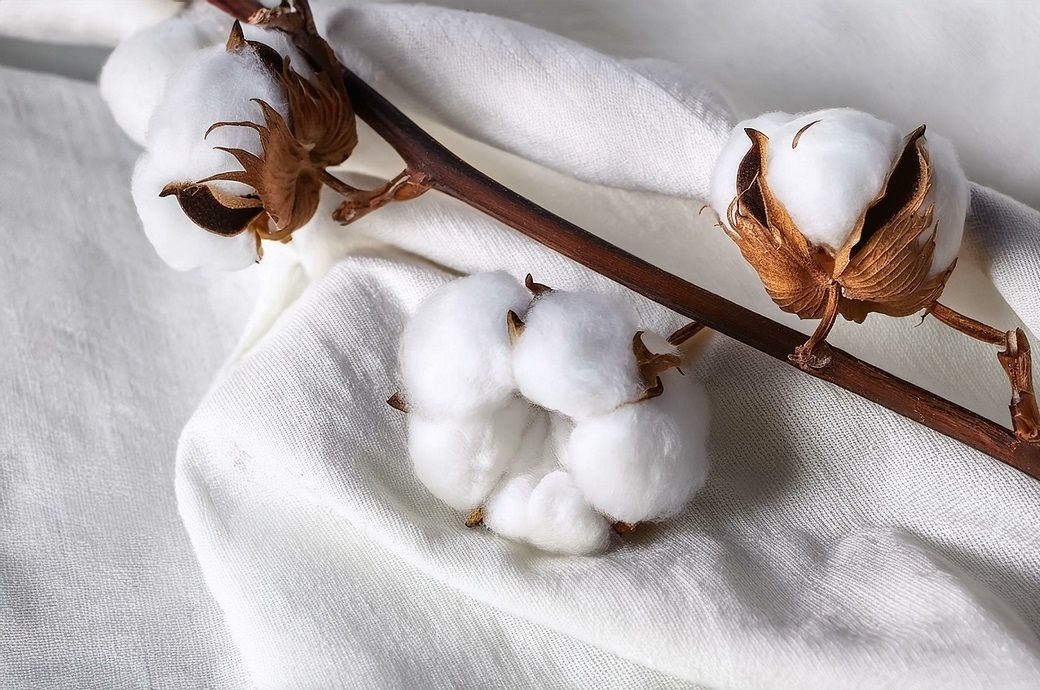 ICE cotton continues to rise on fourth session in a row