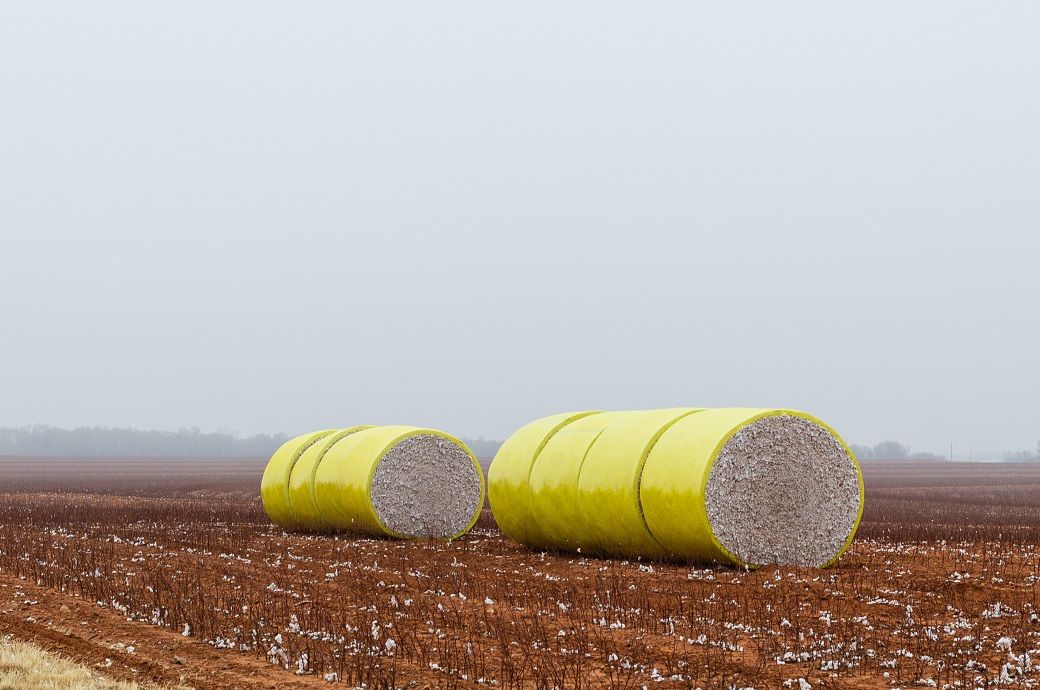 India's cotton production to be 302 lakh bales this season: CAI