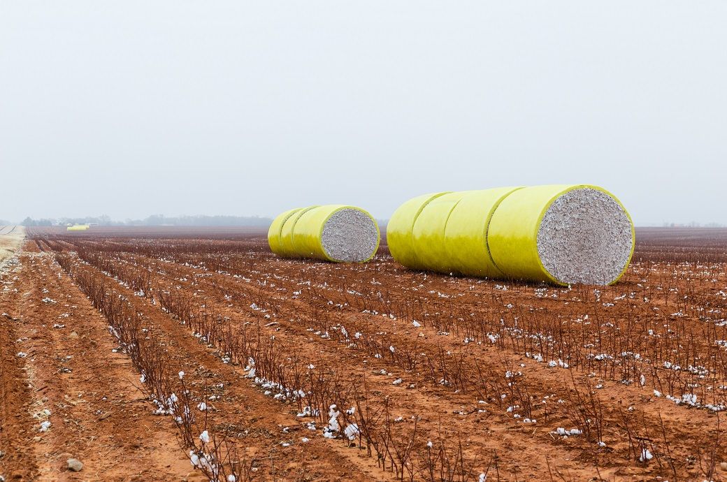 ICE cotton extends gains, driven by surging US exports