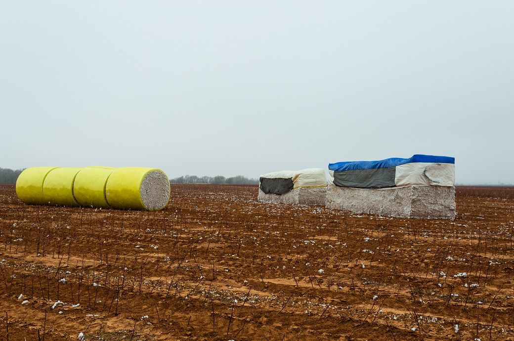 US Upland cotton sales down 47%, Pima 66% this week: USDA