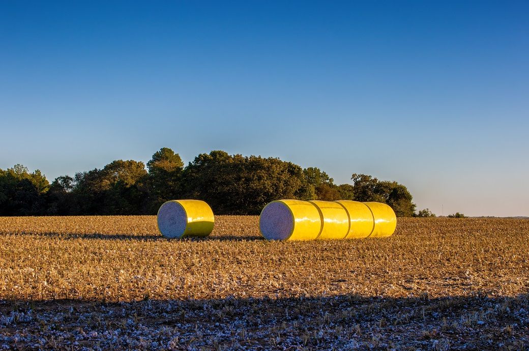 ICE cotton slips amid stronger dollar, decline in other commodities