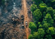 EU Parliament grants 1-year compliance extension on Deforestation Law