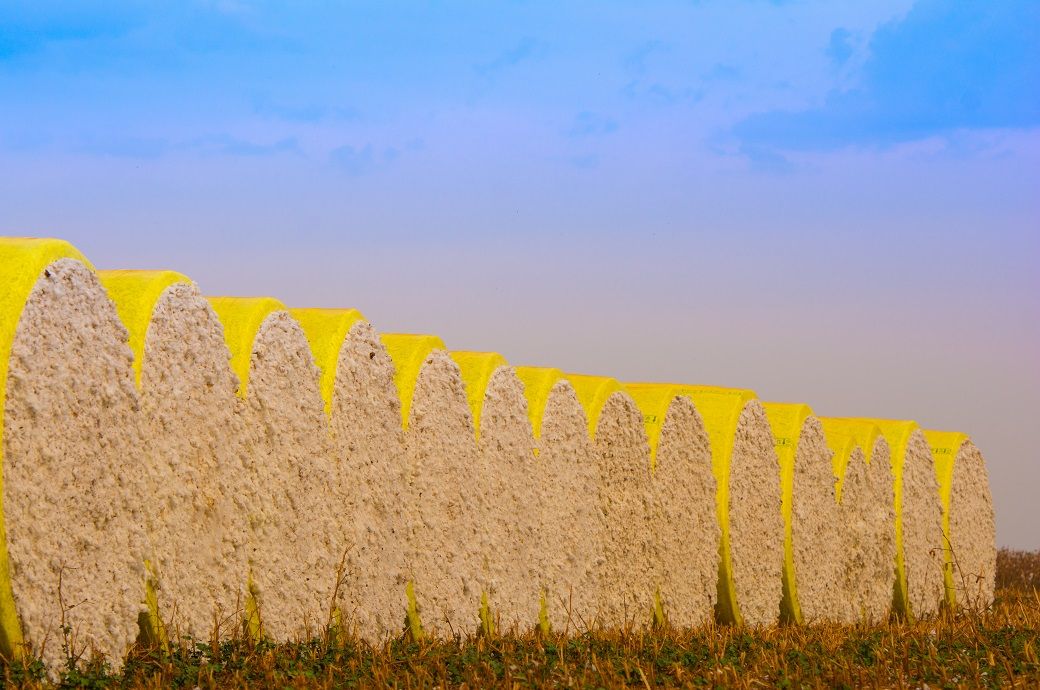 ICE cotton slips further amid technical selling ahead of USDA report