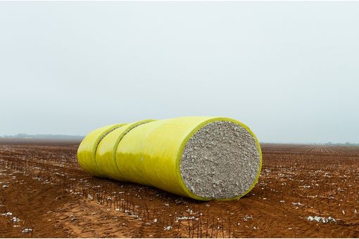 WASDE: Global cotton production, consumption, exports projected higher