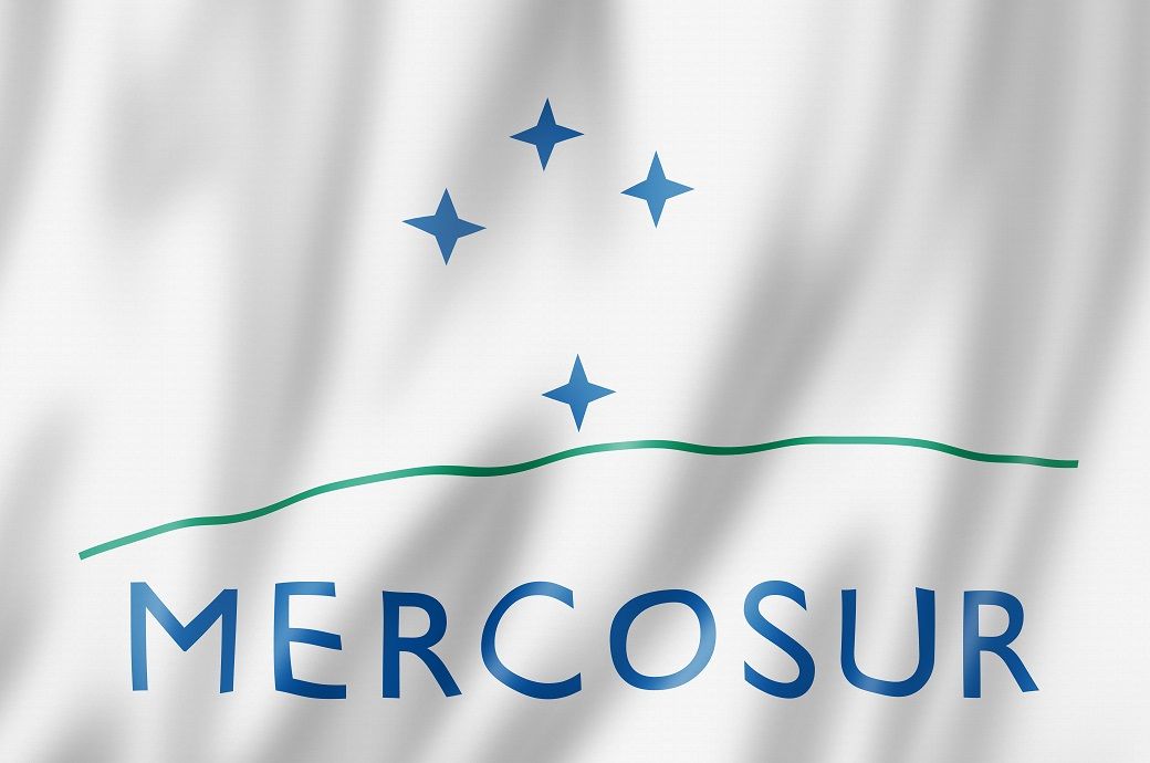 MERCOSUR textile market: A new frontier for Vietnamese exports