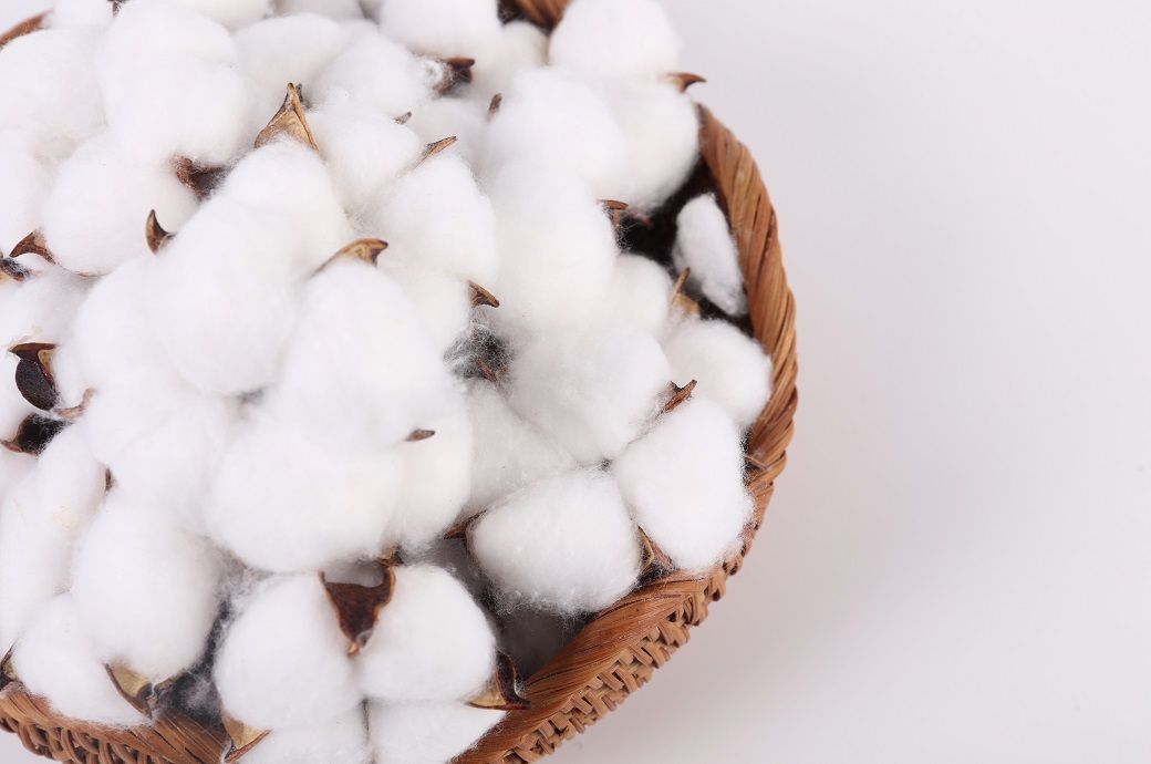 ICE cotton rises further on weaker dollar & stronger export outlook