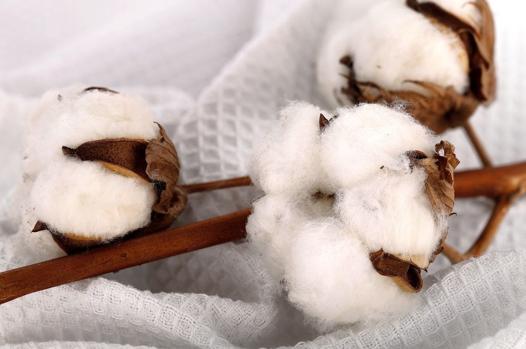 ICE cotton recovers on weaker dollar, but crude oil prices cap gains