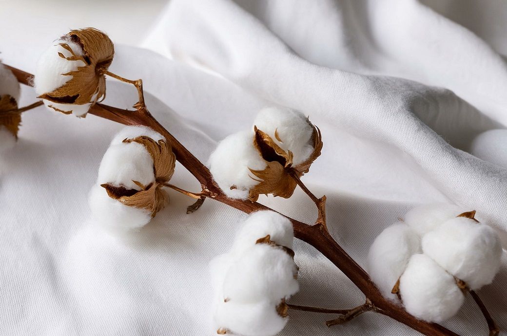 ICE cotton hits two-week low on weak exports, strong dollar