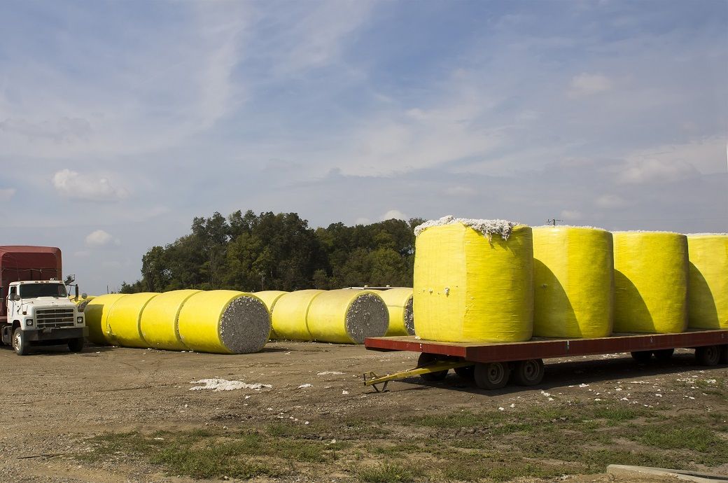 US Upland, Pima cotton sales rise, but export shipments decline: USDA
