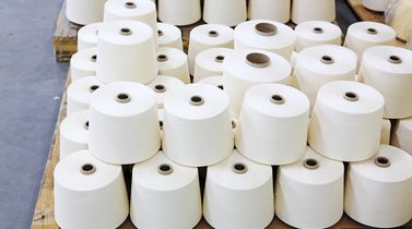 South Indian cotton yarn demand weakens, prices hold steady