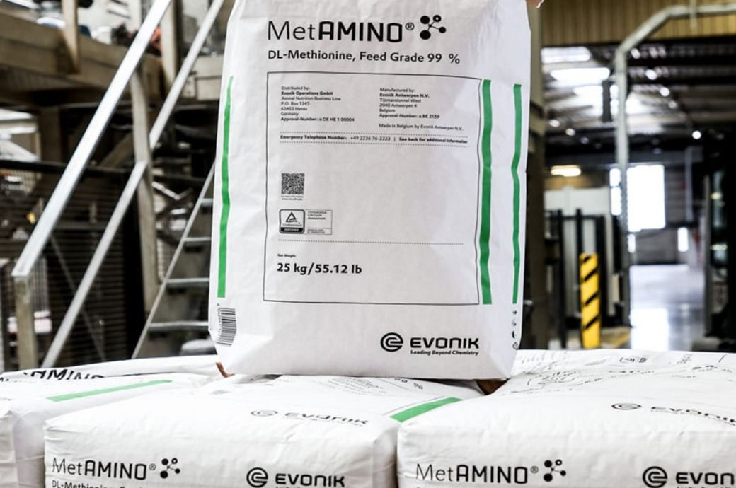 Germany's Evonik debuts eco paper bag for MetAMINO, cutting plastic