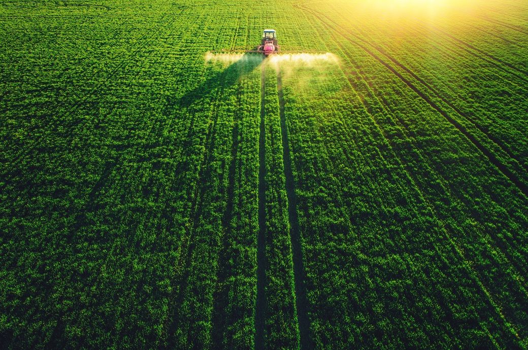  	DCM Shriram sets up SFS, 100% owned agri subsidiary in Gurugram