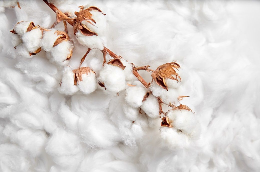 ICE cotton rises on bargain buys, USDA boosts output forecast