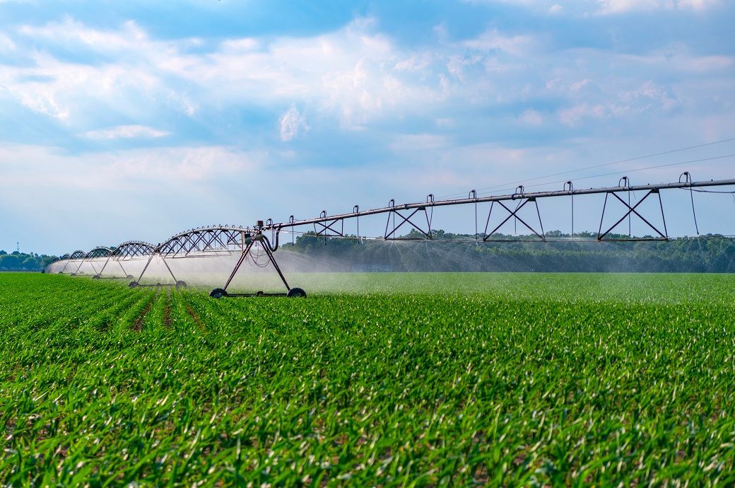 Australia's DKSH Agrisolutions rebrands as Agrion Crop Solutions