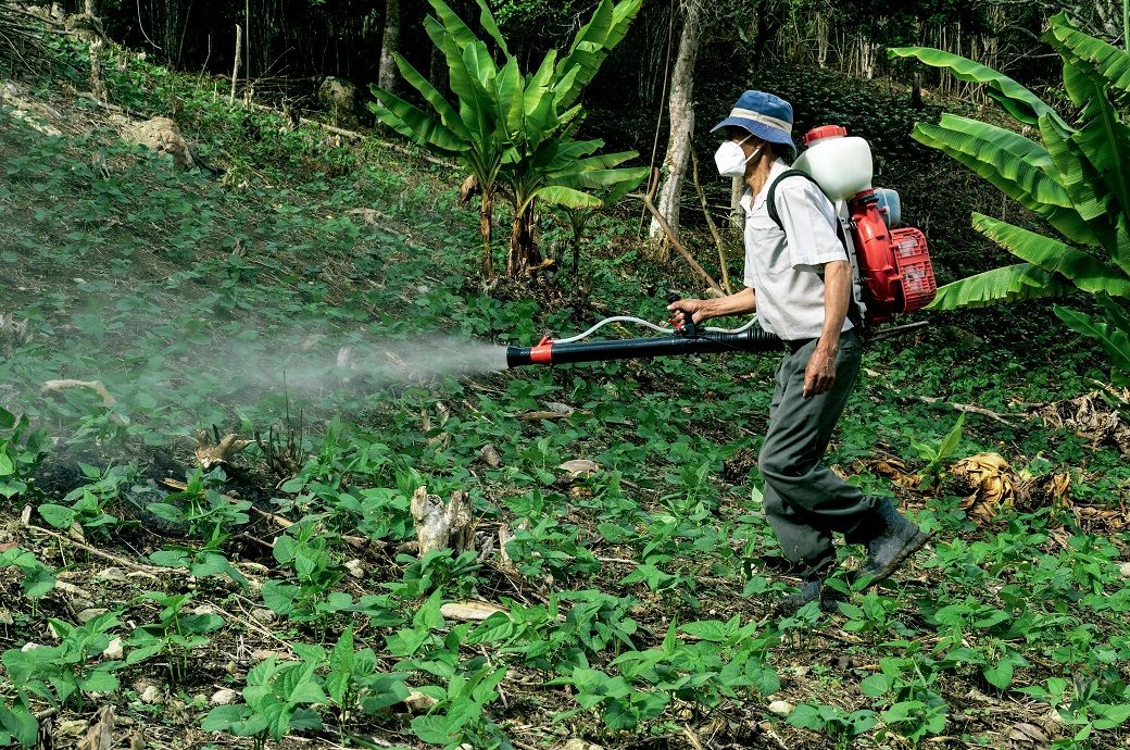  	FMC obtains Great Britian registration for Fundatis herbicide