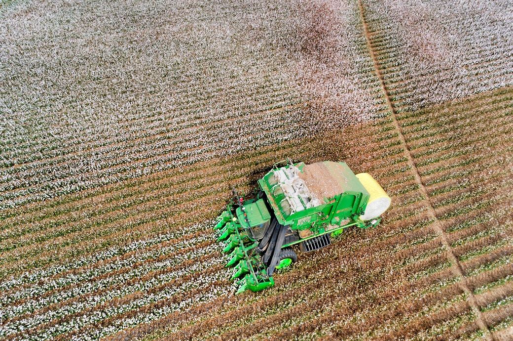 ICE cotton weakens as dollar rebound pressures demand
