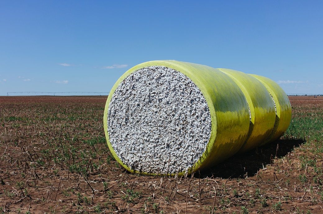 ICE cotton falls on stronger dollar, weak oil prices & tariff worries