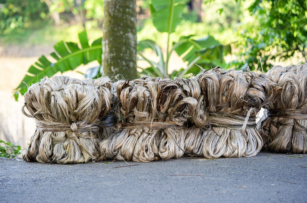 India's jute mills hit by raw material shortage, price spike