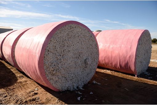 Australia’s cotton exports to India hit $33.5 mn in Jan–May 2025