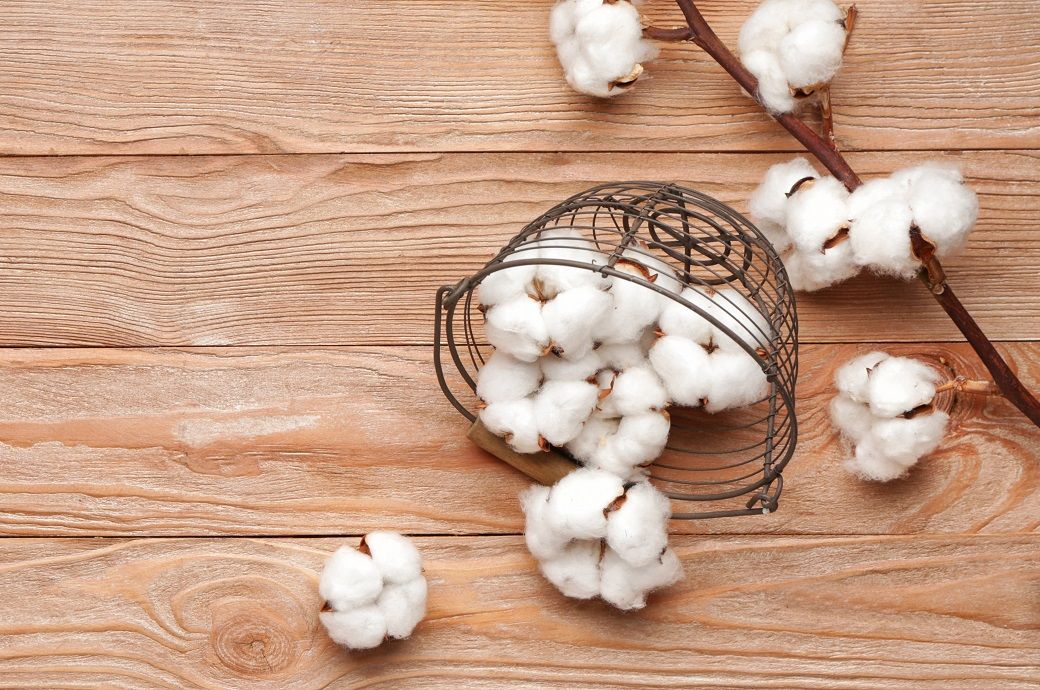 ICE cotton futures steady as crude gains, market awaits USDA data