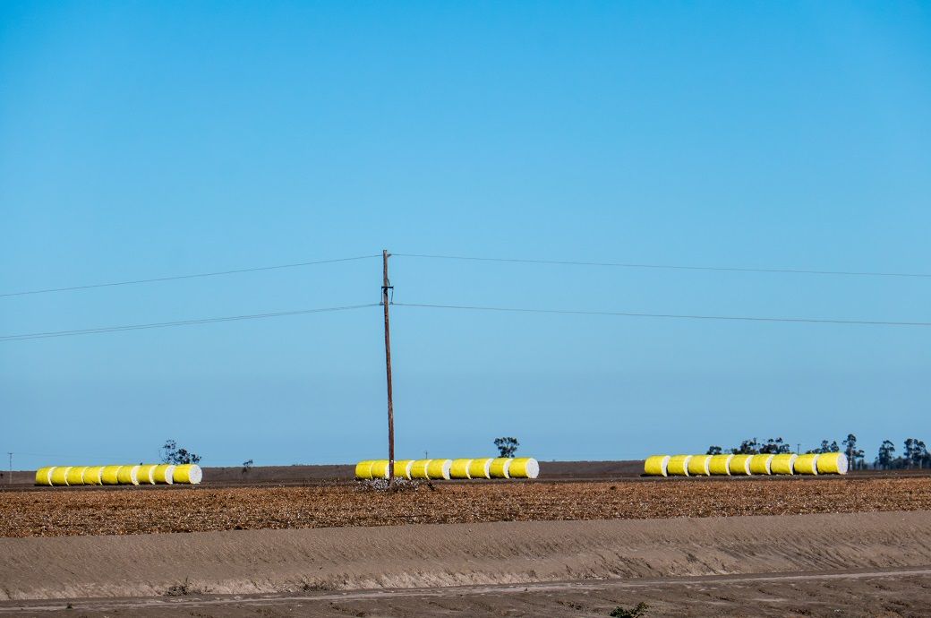 US Upland cotton sales up 36%, Pima down this week: USDA