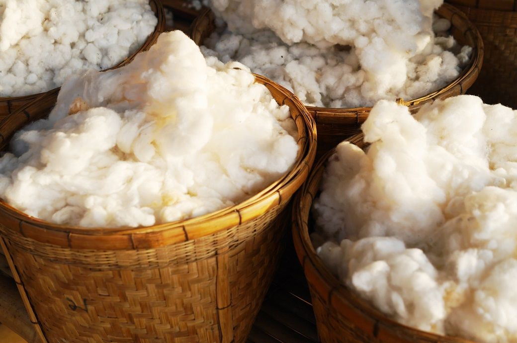 ICE cotton nears two-week low on weak exports, strong dollar
