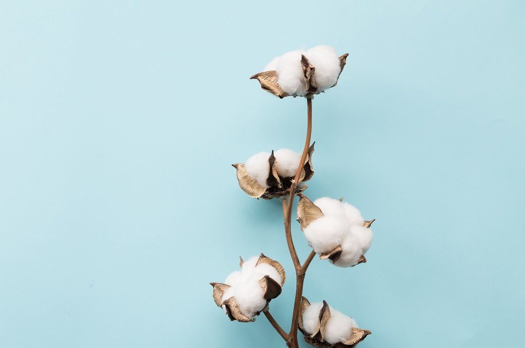 ICE cotton dips further on trade tension; market may stabilise soon