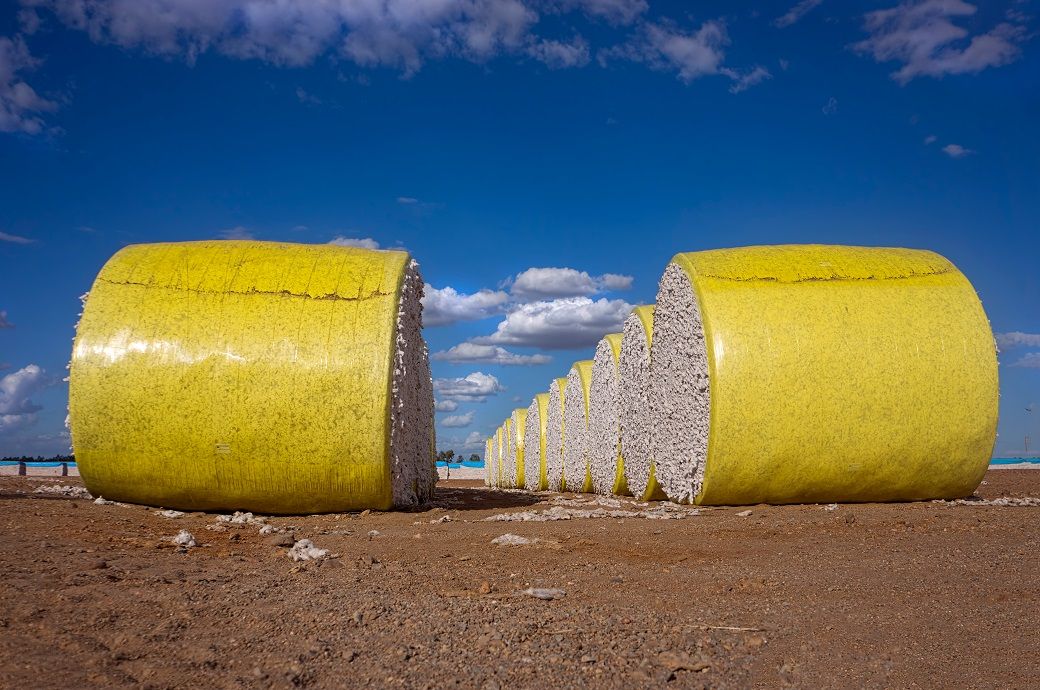 US Upland cotton sales down 54%, Pima jumps 66% this week: USDA