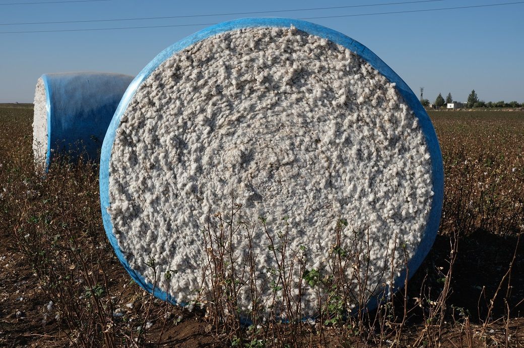 ICE cotton shows mixed trend amid cautious trading