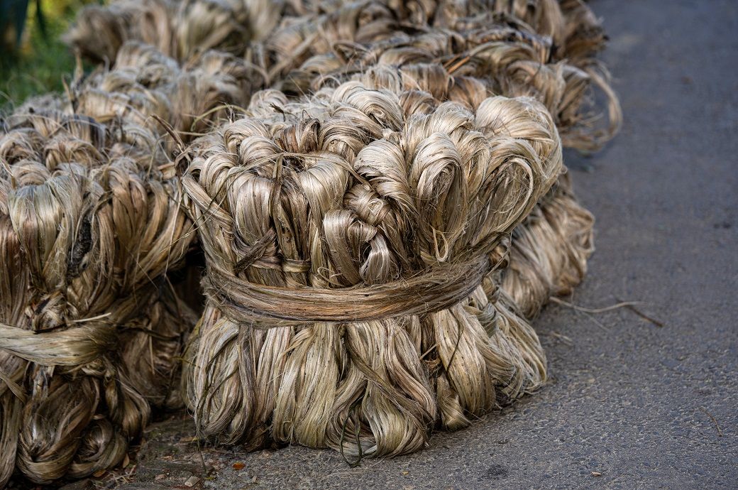 Bangladesh Bank extends loan rescheduling facility for jute exporters