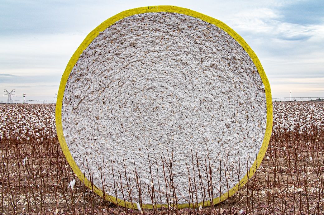 Global cotton stocks hit 13-year low on China decline: ICAC
