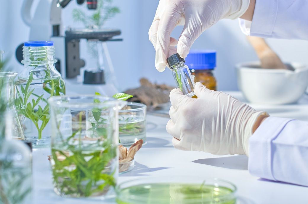 Germany's Symrise & Aplantex join forces on sustainable bioactives