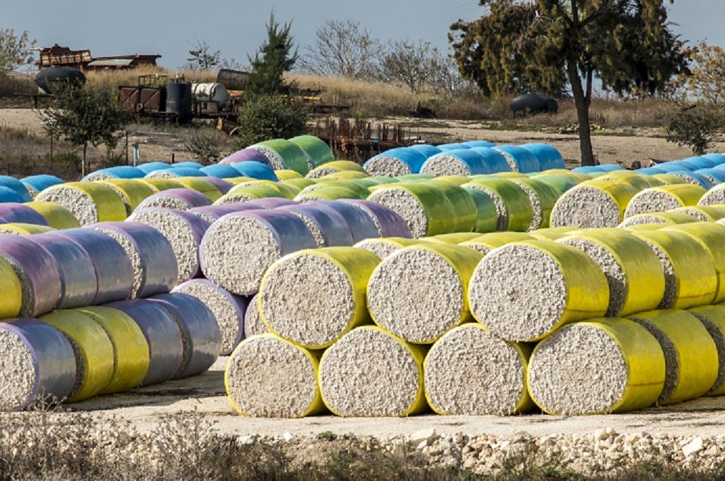 ICE cotton hits 2-week high on rate cut hopes, weak US dollar