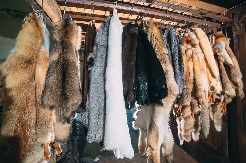 CFDA to implement fur ban at NYFW from September 2026