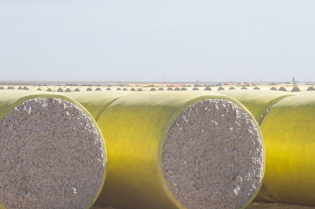 Upland sales slow; Pima activity subdued in week ending Oct 23: USDA