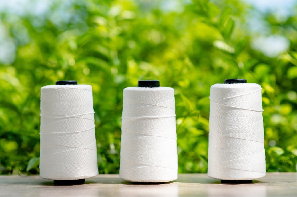 India's Sanathan Textiles posts $84.4 mn revenue in Q2 FY26