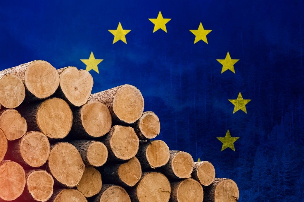  EU leaders agree to delay & simplify deforestation-free rules