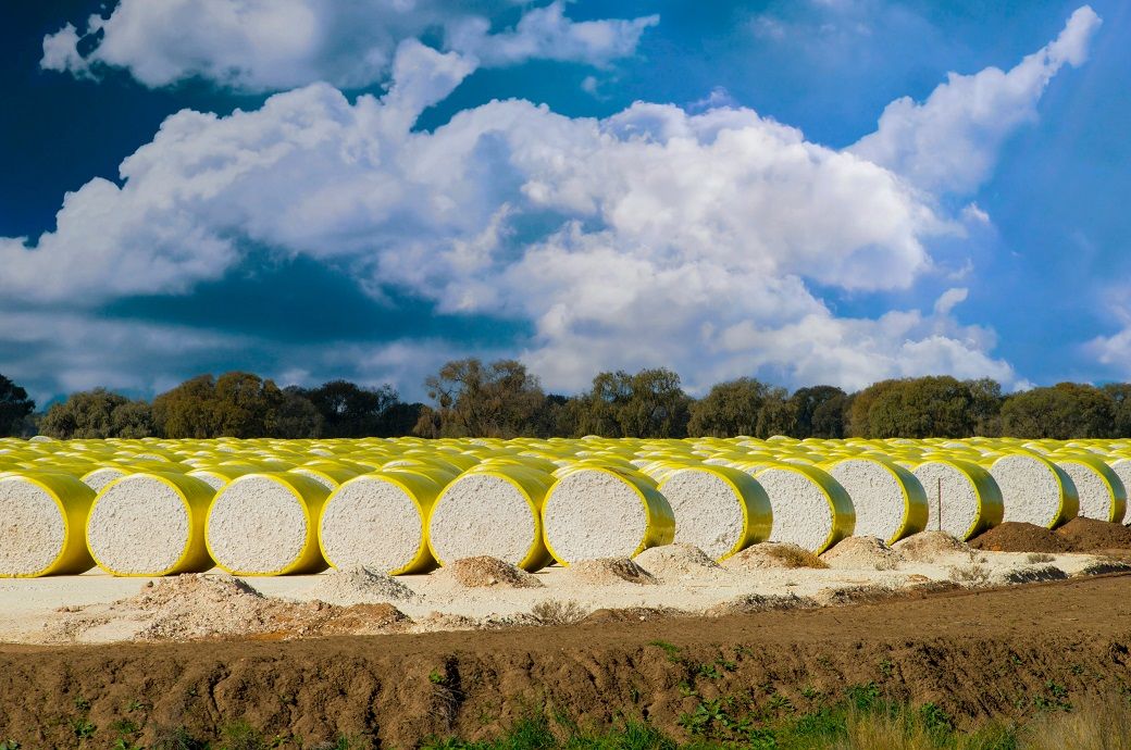 ICE cotton dips on weak grains, caution before USDA report