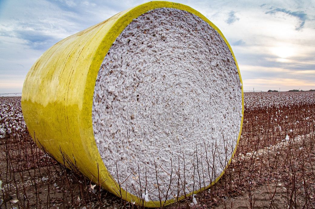 US Upland cotton exports slightly down but better than expectations